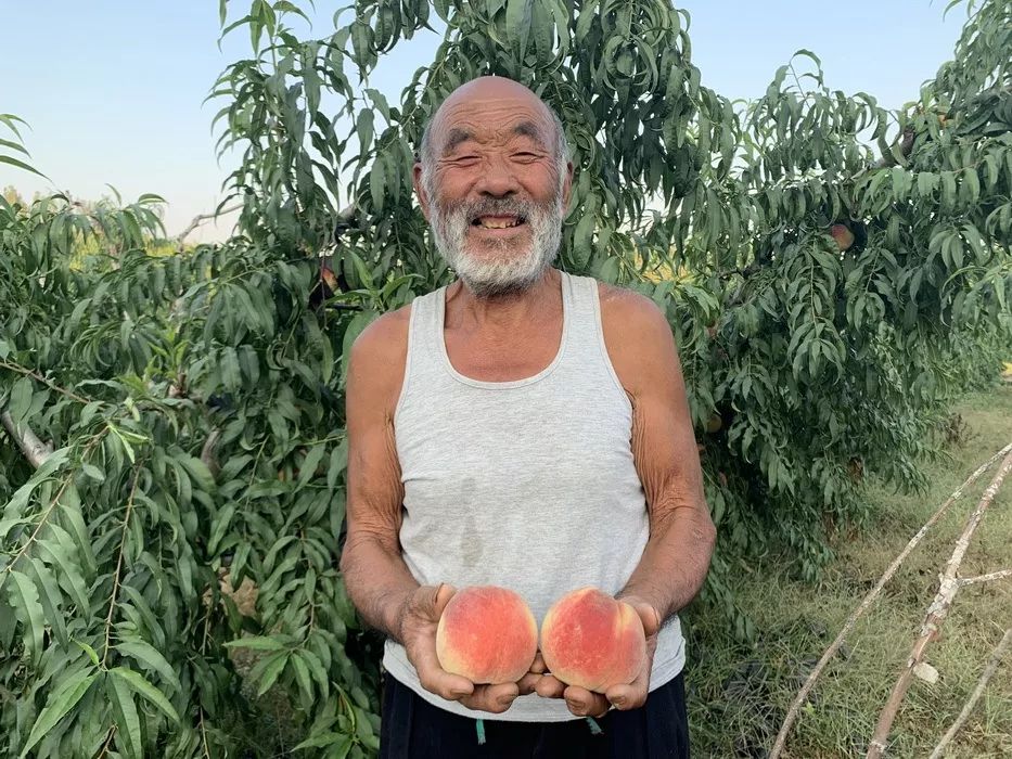 金秋红蜜正宗做法,金秋红蜜的特点