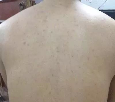 像枫哥一样“扎实”,轻松度过这个寒冷冬天