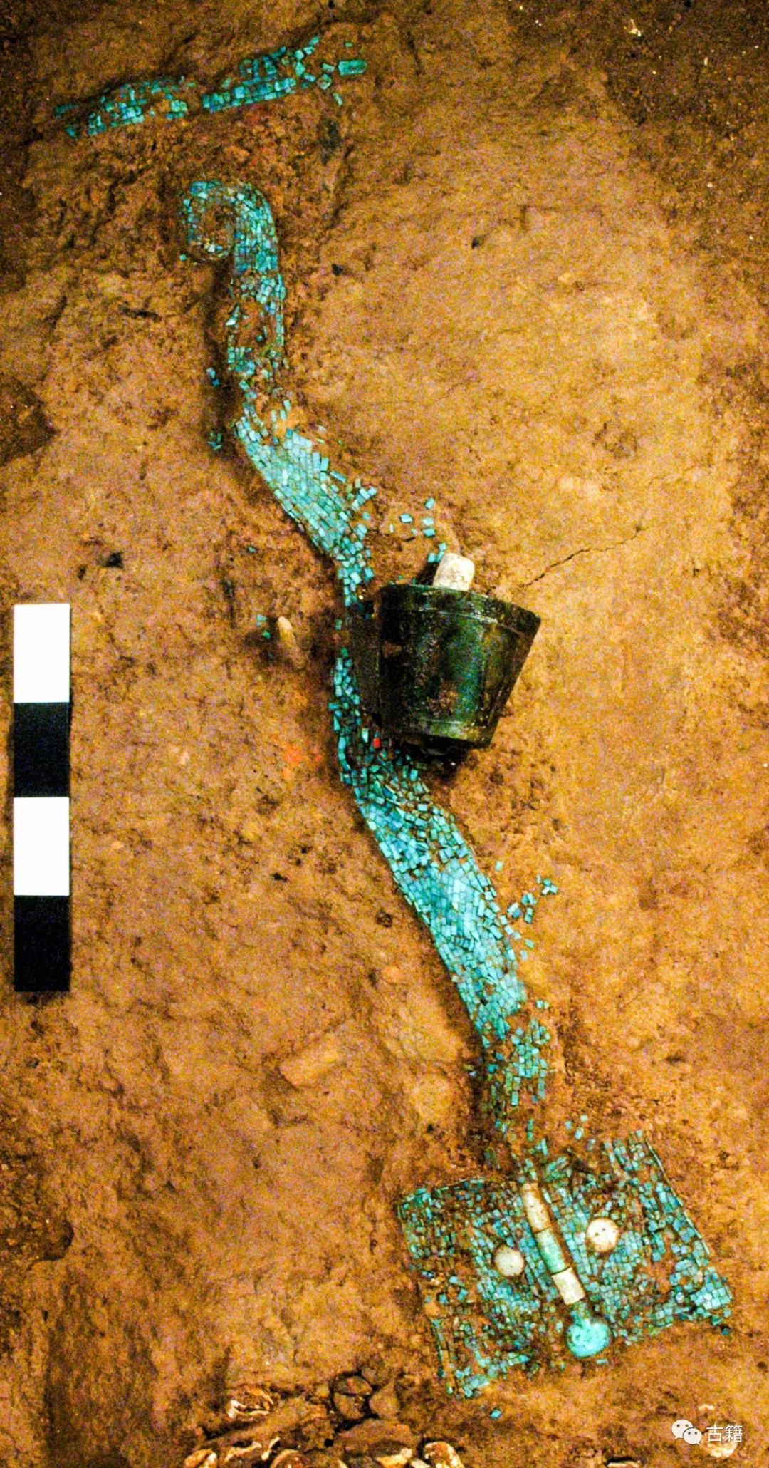 向柏松,向柏松对中华民族的评价