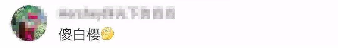 武大樱花近期视频,武大樱花今天有人去了吗