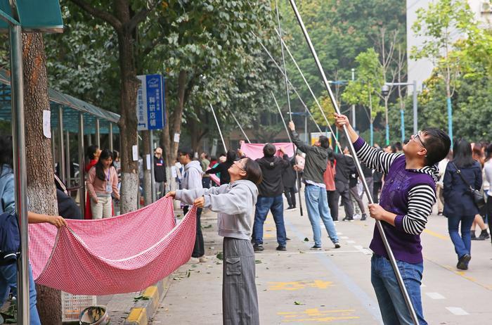 西工大柿子采摘大赛第四届,西工大学子摘柿子
