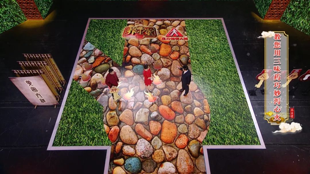 养生堂脏腑安康有技巧,脏腑安康有诀窍北京卫视养生堂