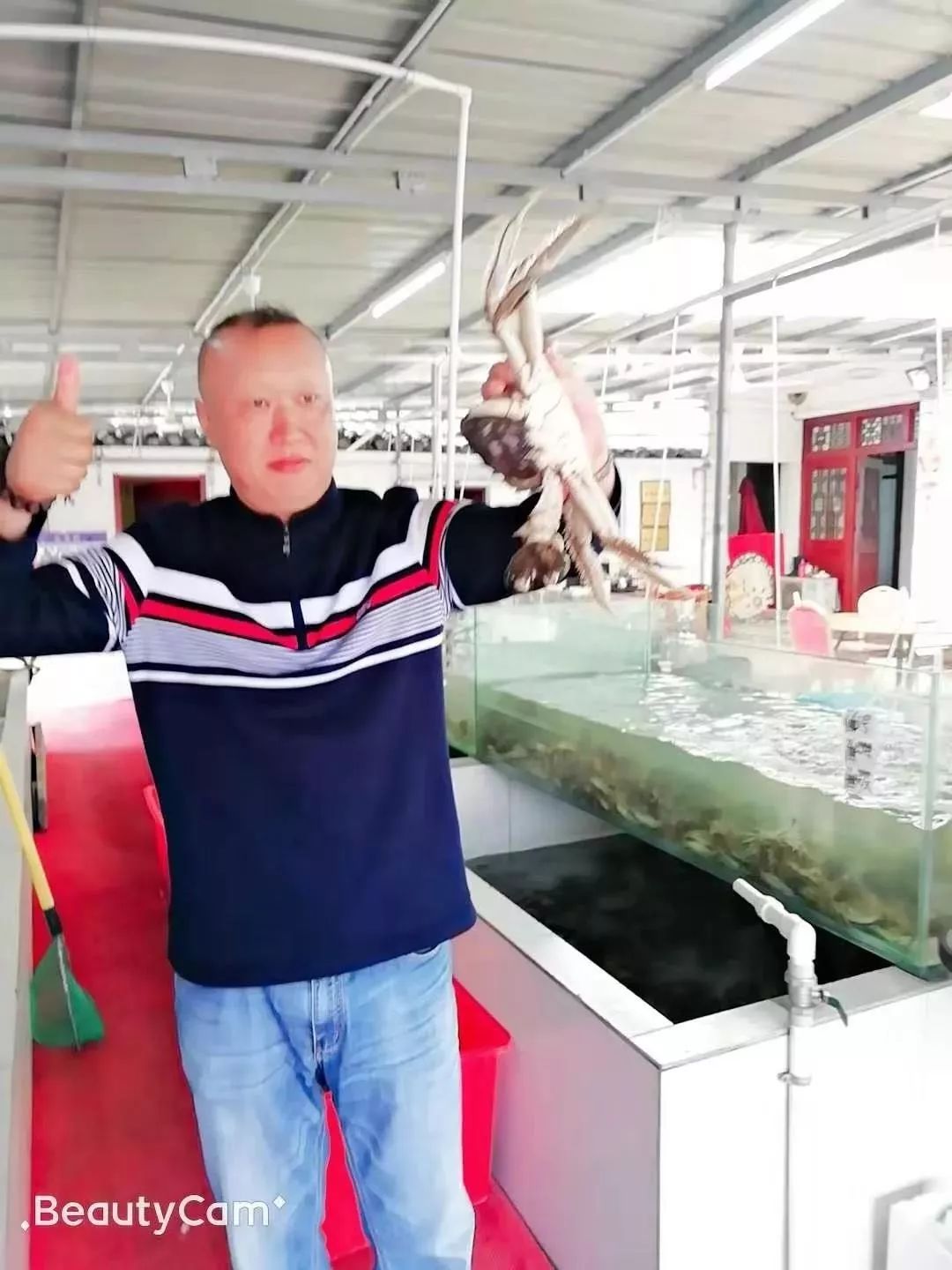 阳澄湖大闸蟹最佳吃蟹时间段,阳澄湖大闸蟹的最近品尝时间