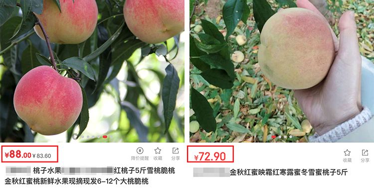 金秋红蜜正宗做法,金秋红蜜的特点