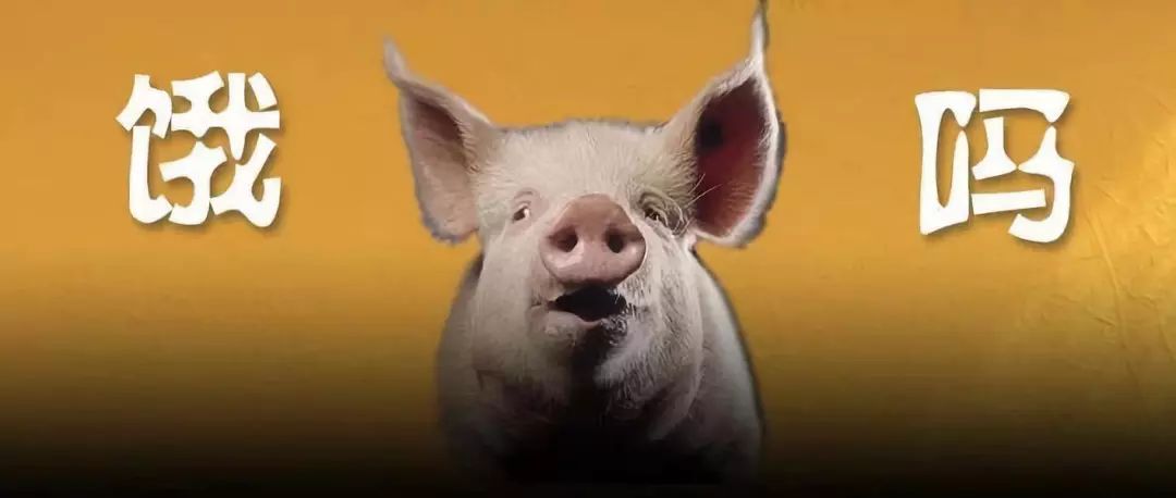 雏鹰农牧第一股,雏鹰农牧退市蹊跷恐有人恶意做空