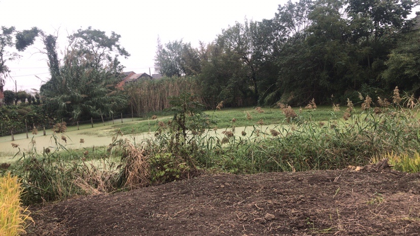 路亚打黑2022年视频,路亚打黑第一条鱼