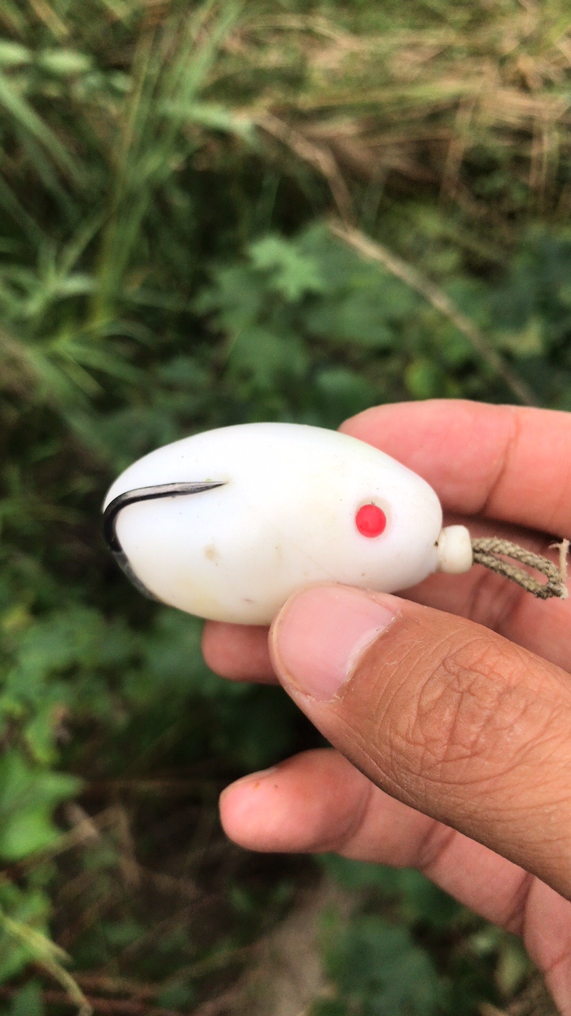 路亚打黑2022年视频,路亚打黑第一条鱼