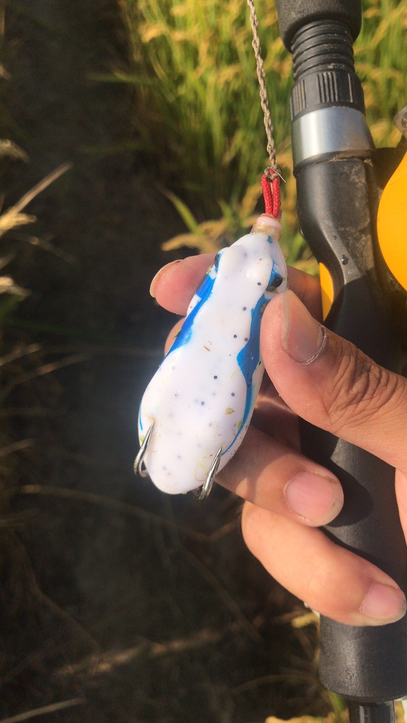 路亚打黑2022年视频,路亚打黑第一条鱼