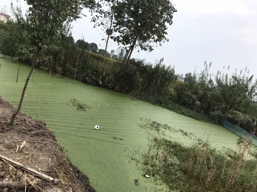 路亚打黑2022年视频,路亚打黑第一条鱼