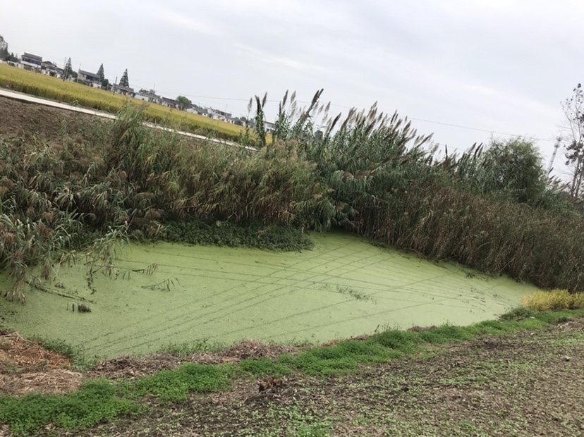 路亚打黑2022年视频,路亚打黑第一条鱼