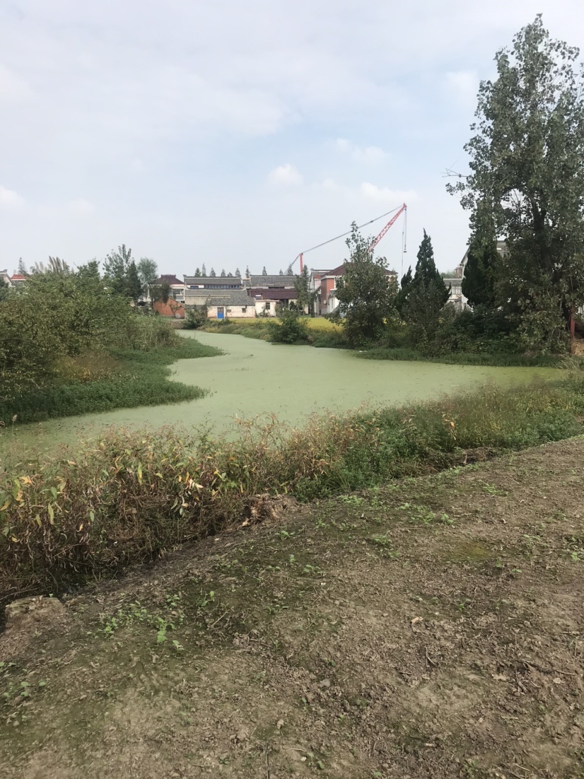 路亚打黑2022年视频,路亚打黑第一条鱼