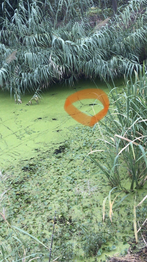 路亚打黑2022年视频,路亚打黑第一条鱼