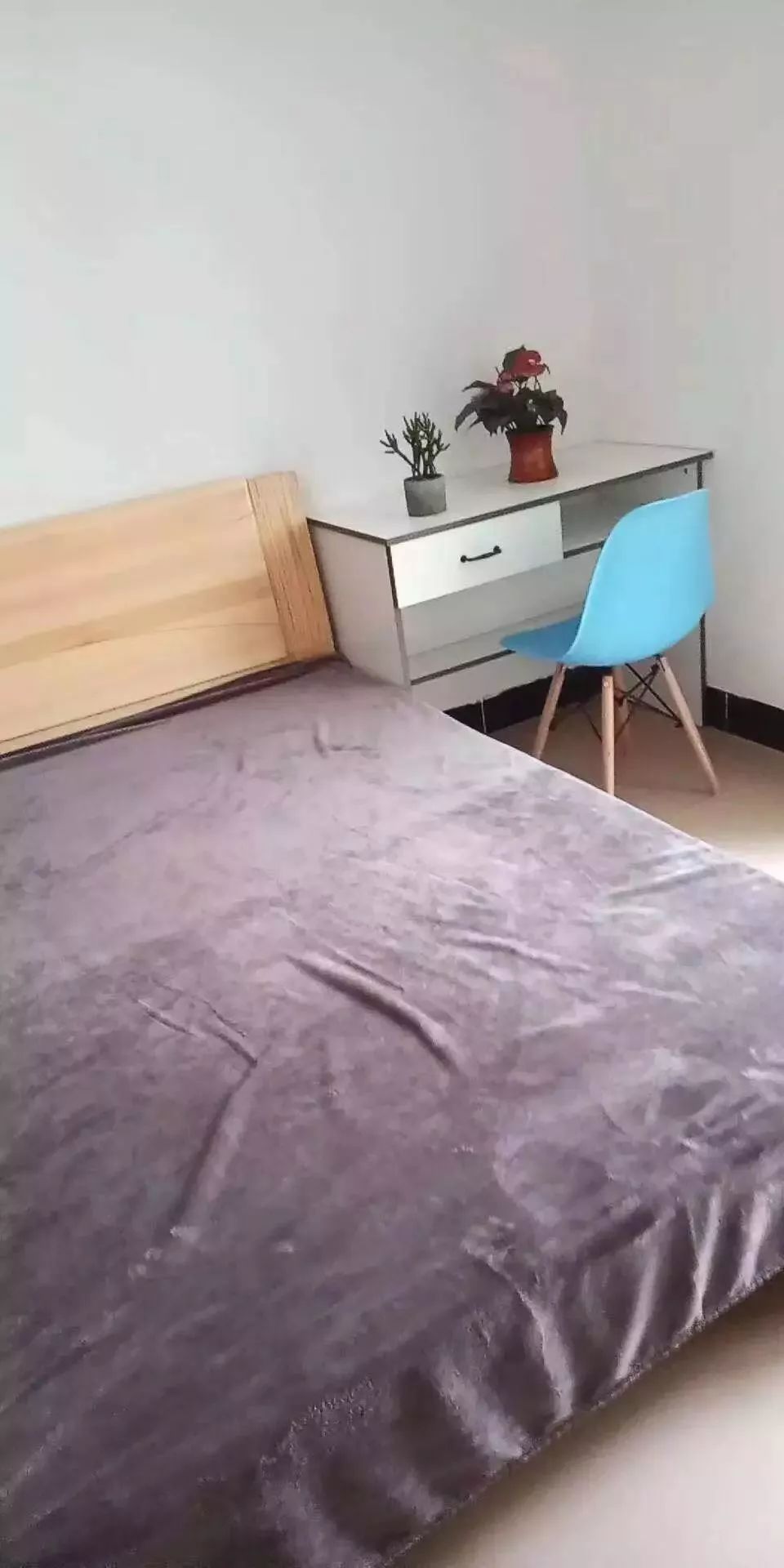 厦门最新租房信息房东直租,厦门2024年租房价格趋势