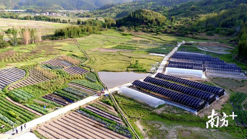 乡村振兴一户一块田,如何做到丘陵乡村振兴