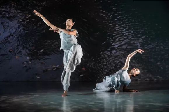 「赠票」晒出你和中国上海国际艺术节的故事，广播君请你去看《平夏斯·祖克曼与阿德莱德交响乐团森林音乐会》