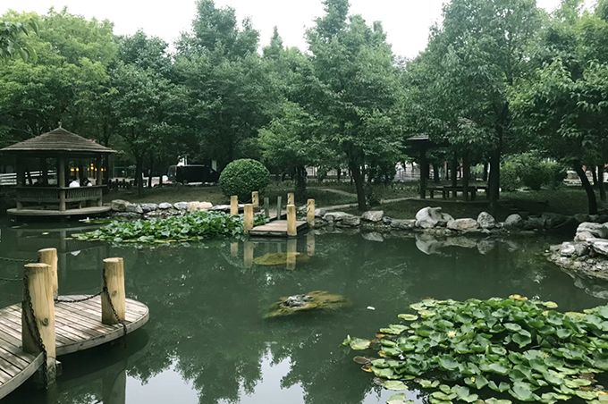 “失眠的正念治疗培训班”开始报名啦