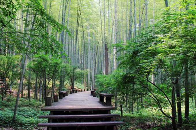 “失眠的正念治疗培训班”开始报名啦