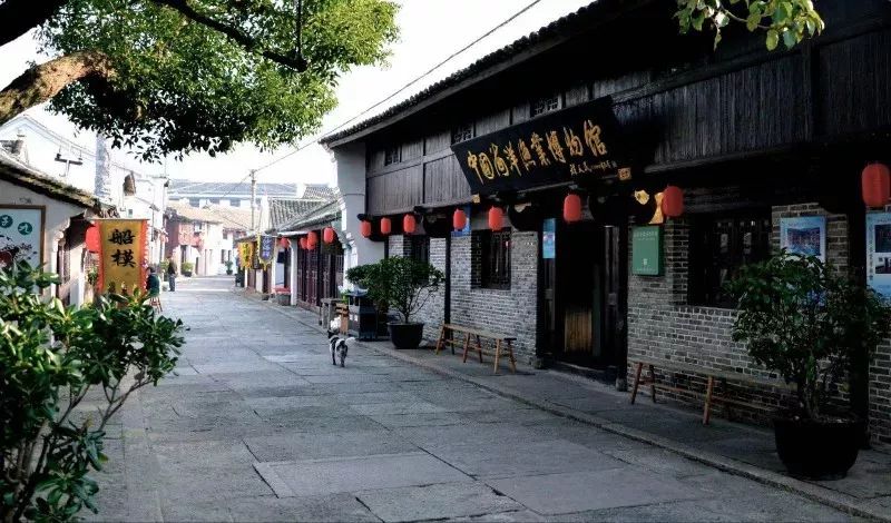 新“仙岛十景”｜岱山会为游客带来怎样的惊喜？