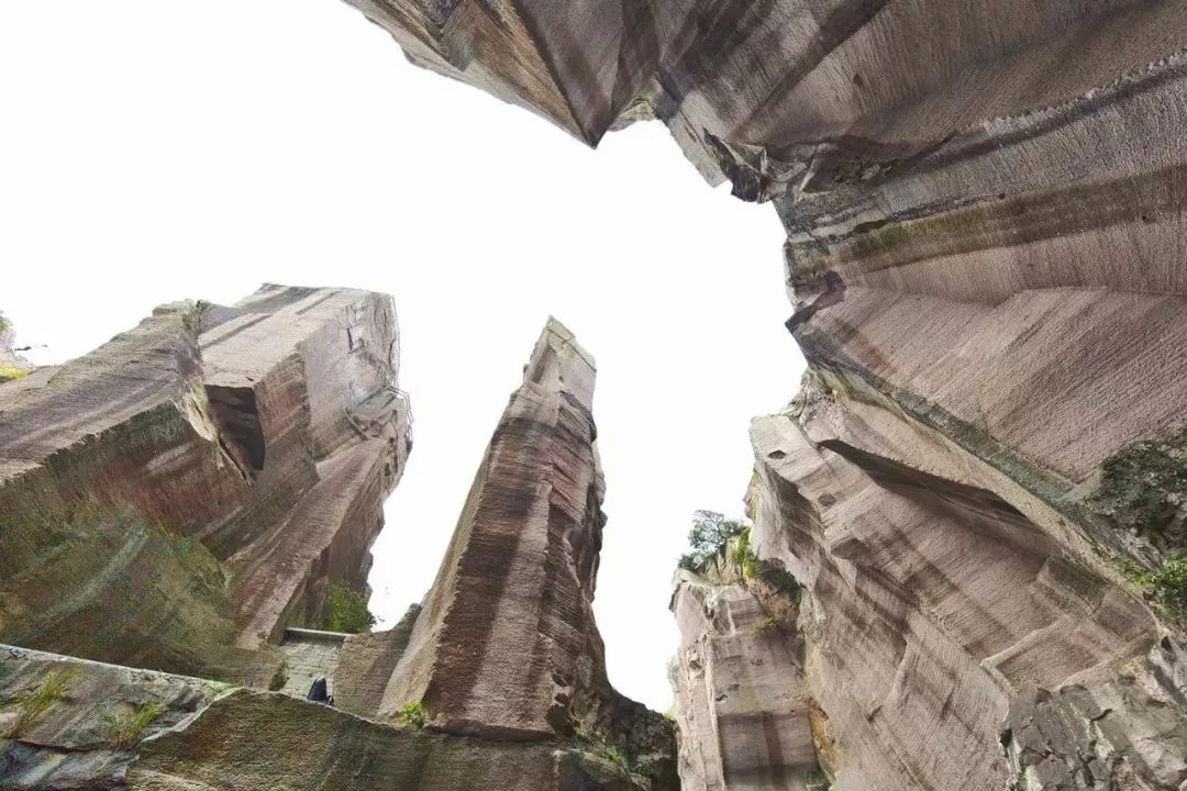 新“仙岛十景”|岱山会为游客带来怎样的惊喜?