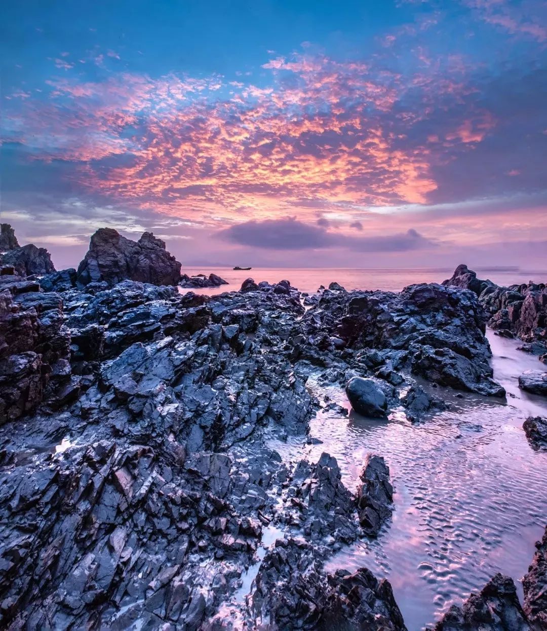 新“仙岛十景”|岱山会为游客带来怎样的惊喜?