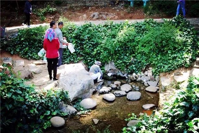 遛鸟、背水、广场舞……丽江人的柔软时光里“暗藏玄机”