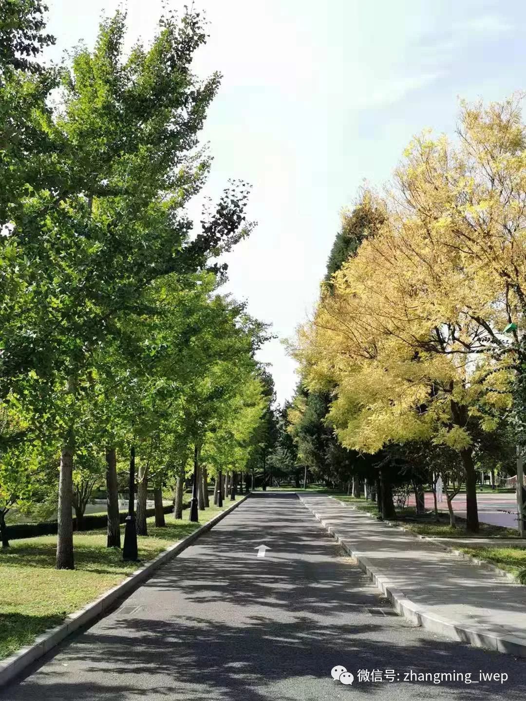 社会学必读10本书,推荐关于社会学的书