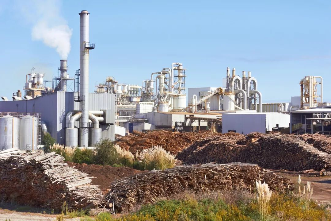 新北森萨塔科技荣获“2019年最佳传感器与控制器科技公司”称号！