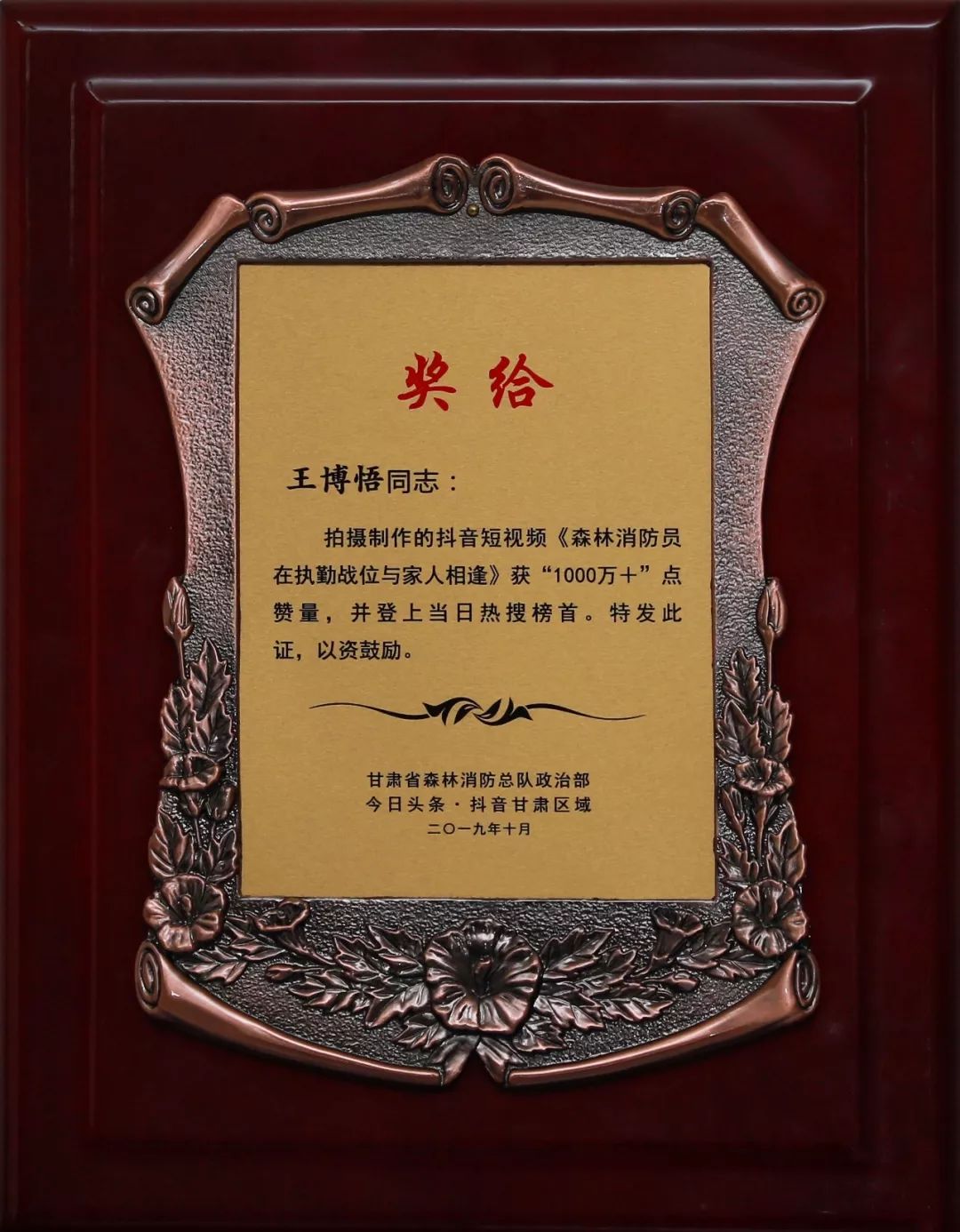 甘肃省森林消防总队抖音,甘肃森林消防视频