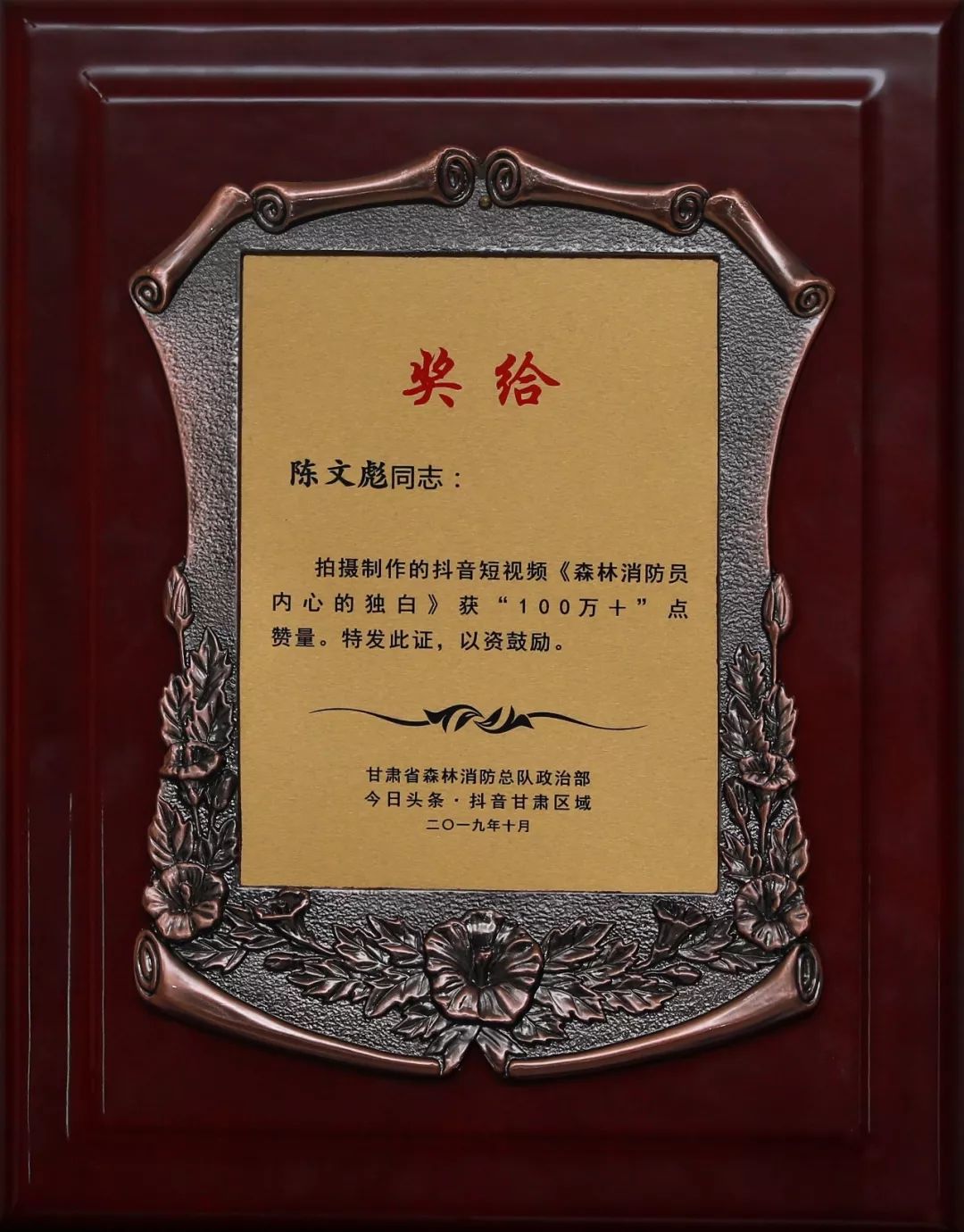 甘肃省森林消防总队抖音,甘肃森林消防视频