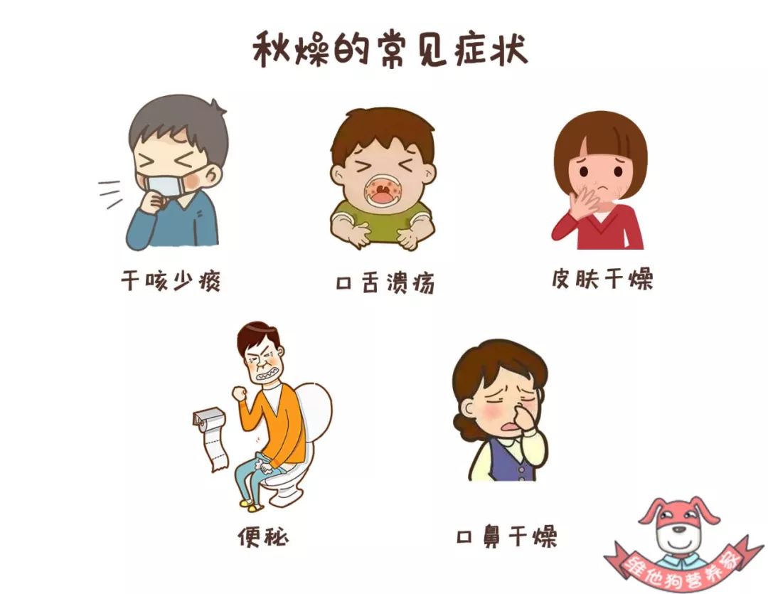 皮肤干燥嗓子干茶饮,皮肤干燥起皮口干咽燥