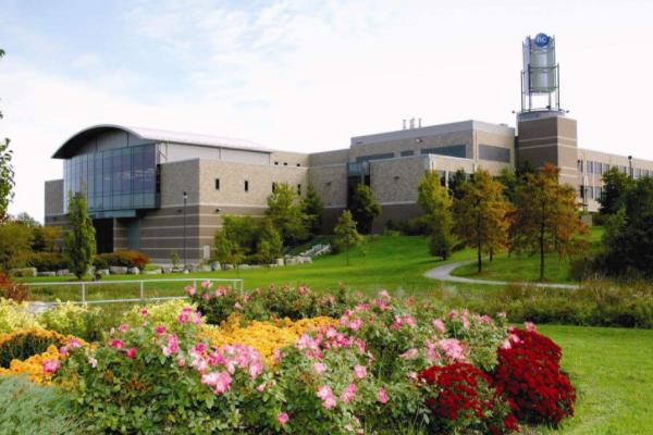 加拿大留学的利弊详细分析,加拿大和澳洲留学优势差别