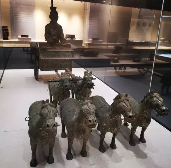 重庆大学博物馆文物系,重庆大学文物有假的吗