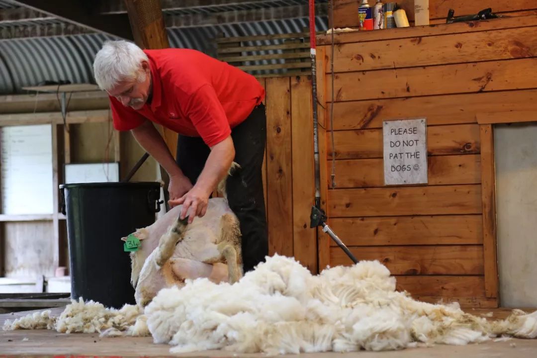 澳洲进口羊绒被子,进口高档正宗羊绒被