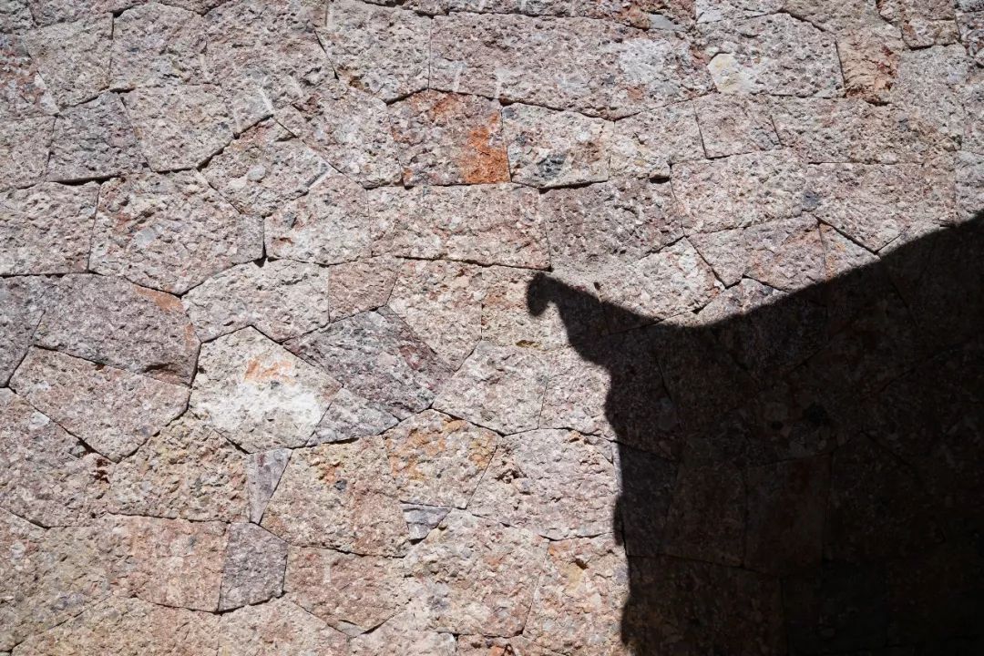 花5000多住迪士尼酒店,花5000住酒店什么体验