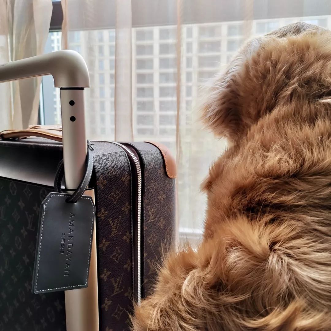 花5000多住迪士尼酒店,花5000住酒店什么体验