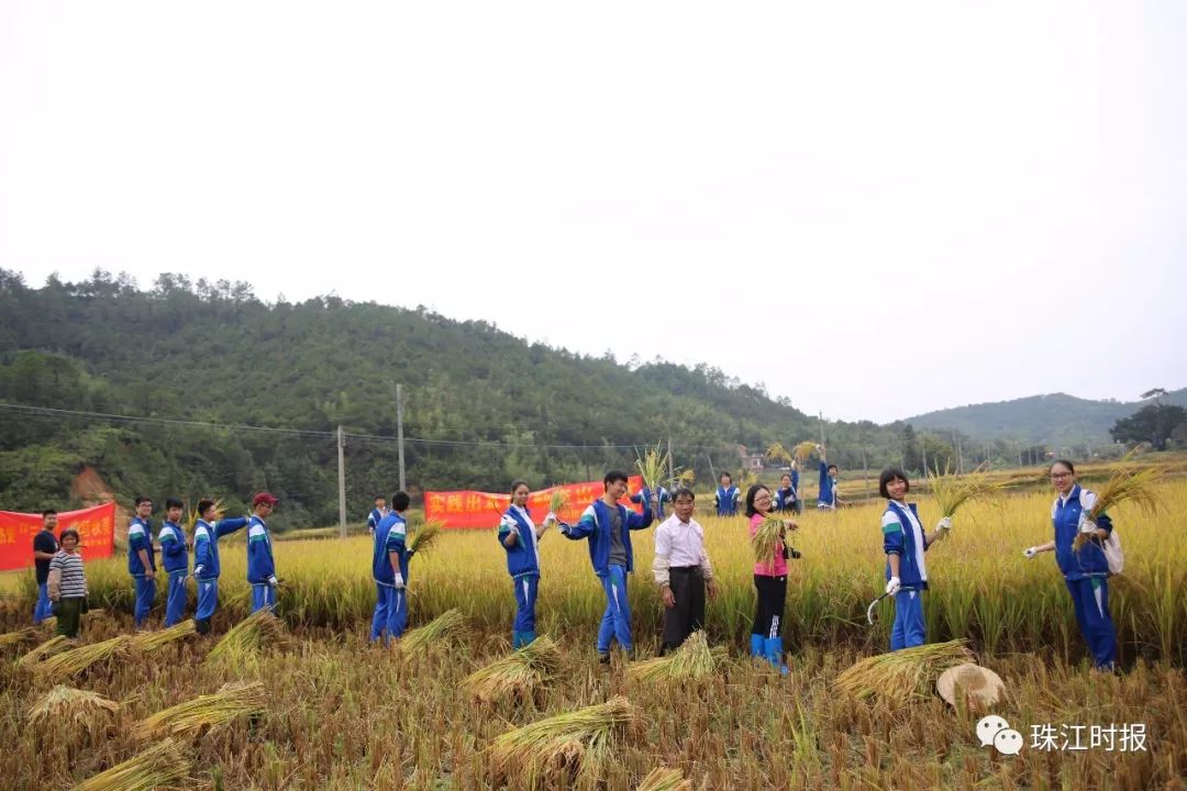 南海华附高考重本率多少,本科上线100%的学校