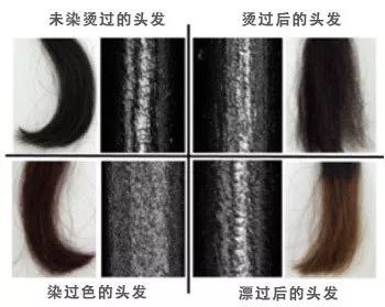 tony老师染什么头发,tony老师染发加工费