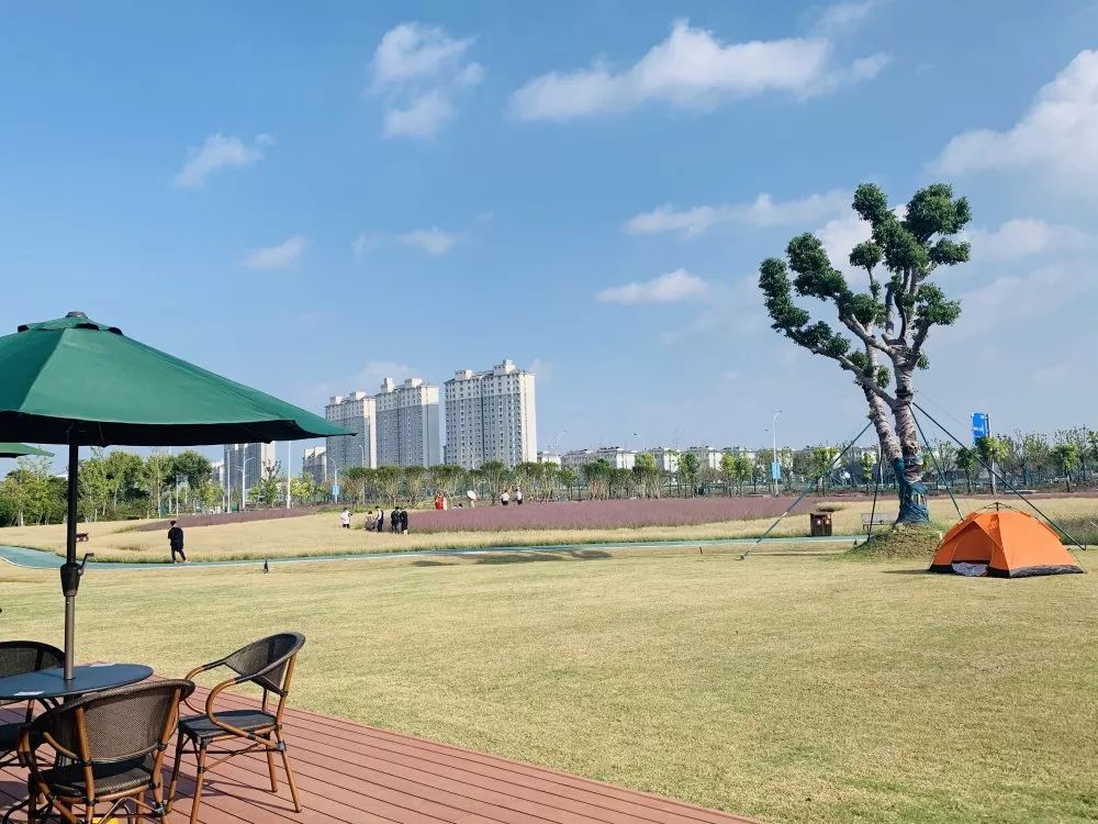 9.9元抢「平湖在线旗下咖啡馆」平湖派黑金卡1张！持卡可享受充300送200，办理当天即可获赠最高价值35元饮品一杯