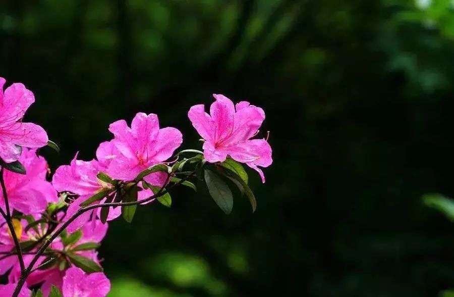 镇江发展史,穿越时空前世今生