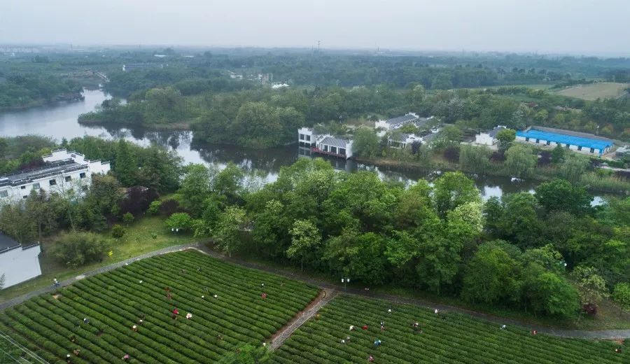 镇江发展史,穿越时空前世今生