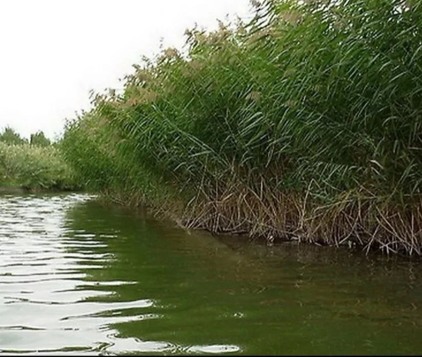 镇江发展史,穿越时空前世今生