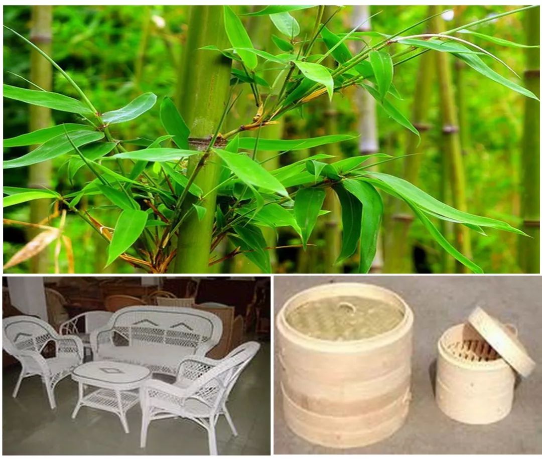 镇江发展史,穿越时空前世今生