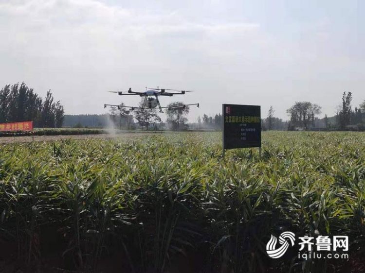 潍坊农业转型升级,潍坊农业农村规划