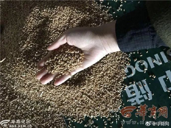 最陕西|愤怒！4岁孩子在看护点被殴打，一看监控，几十个孩子都被打了