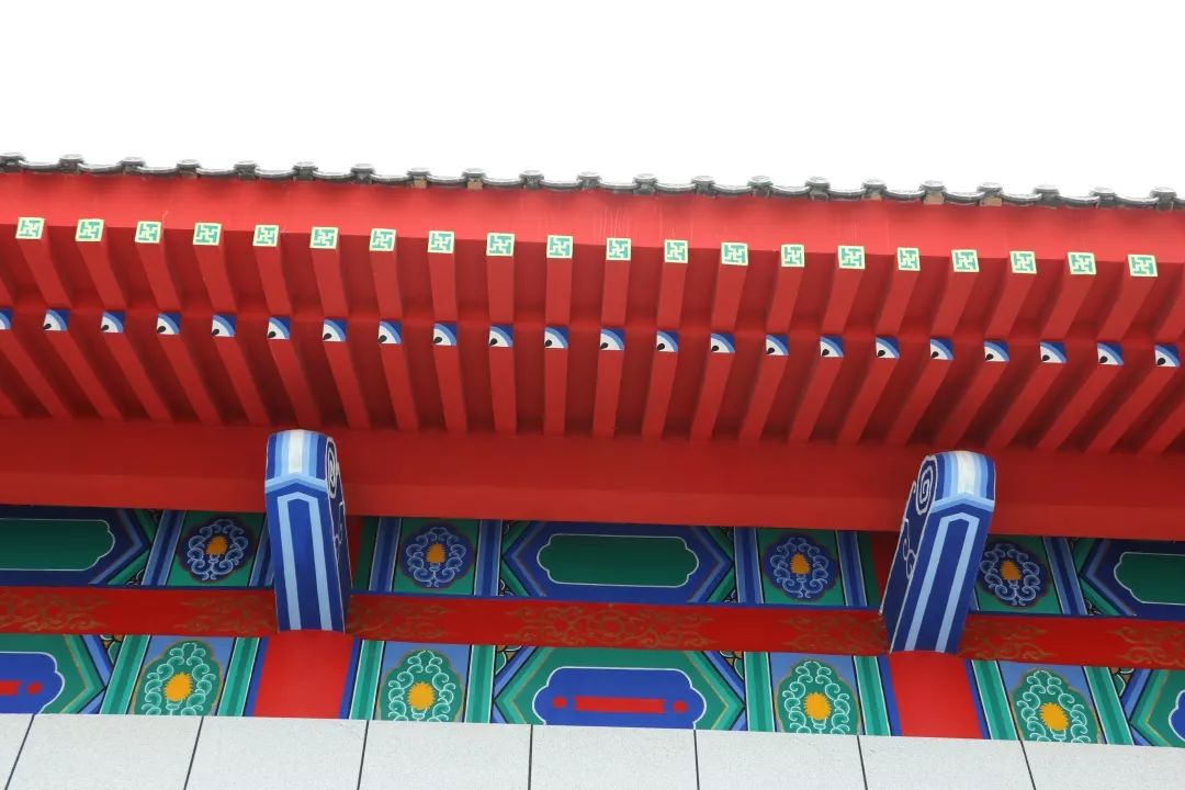 哈工程青岛体育馆,多图来袭