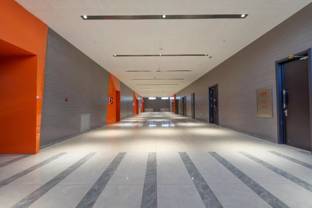 哈工程青岛体育馆,多图来袭