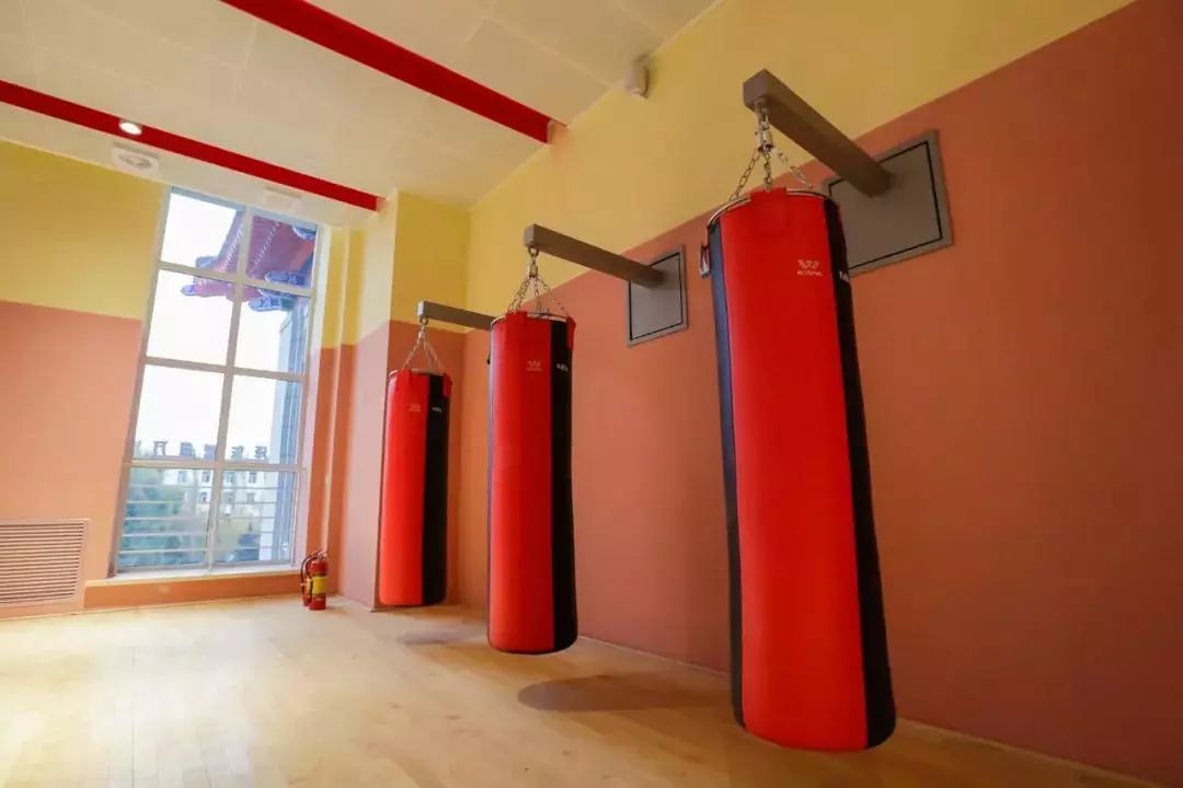 哈工程青岛体育馆,多图来袭