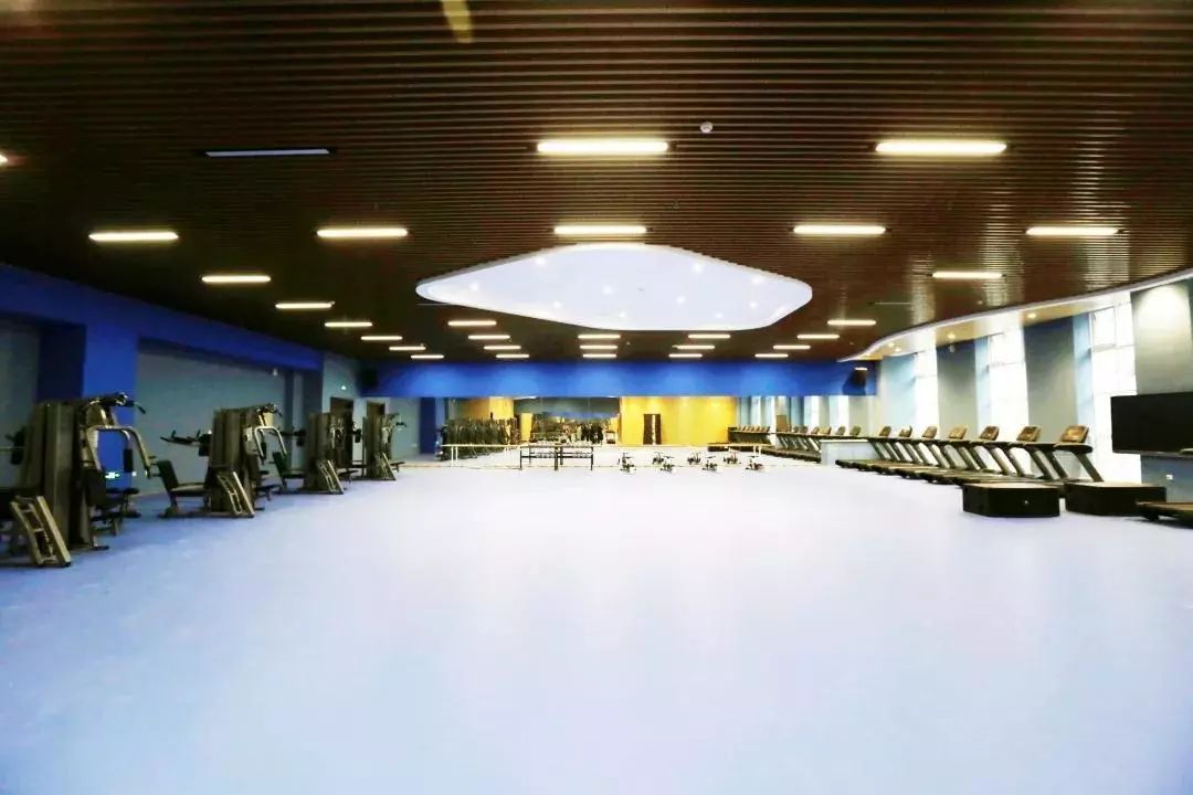 哈工程青岛体育馆,多图来袭