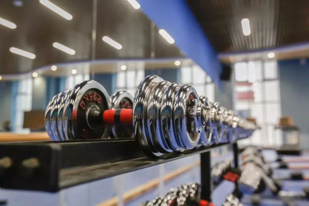 哈工程青岛体育馆,多图来袭