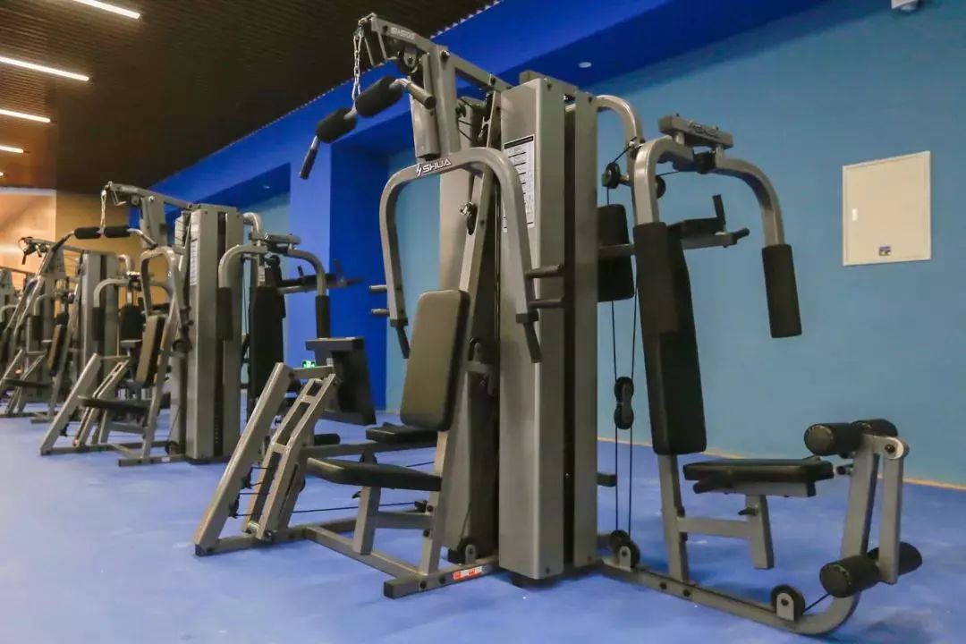 哈工程青岛体育馆,多图来袭